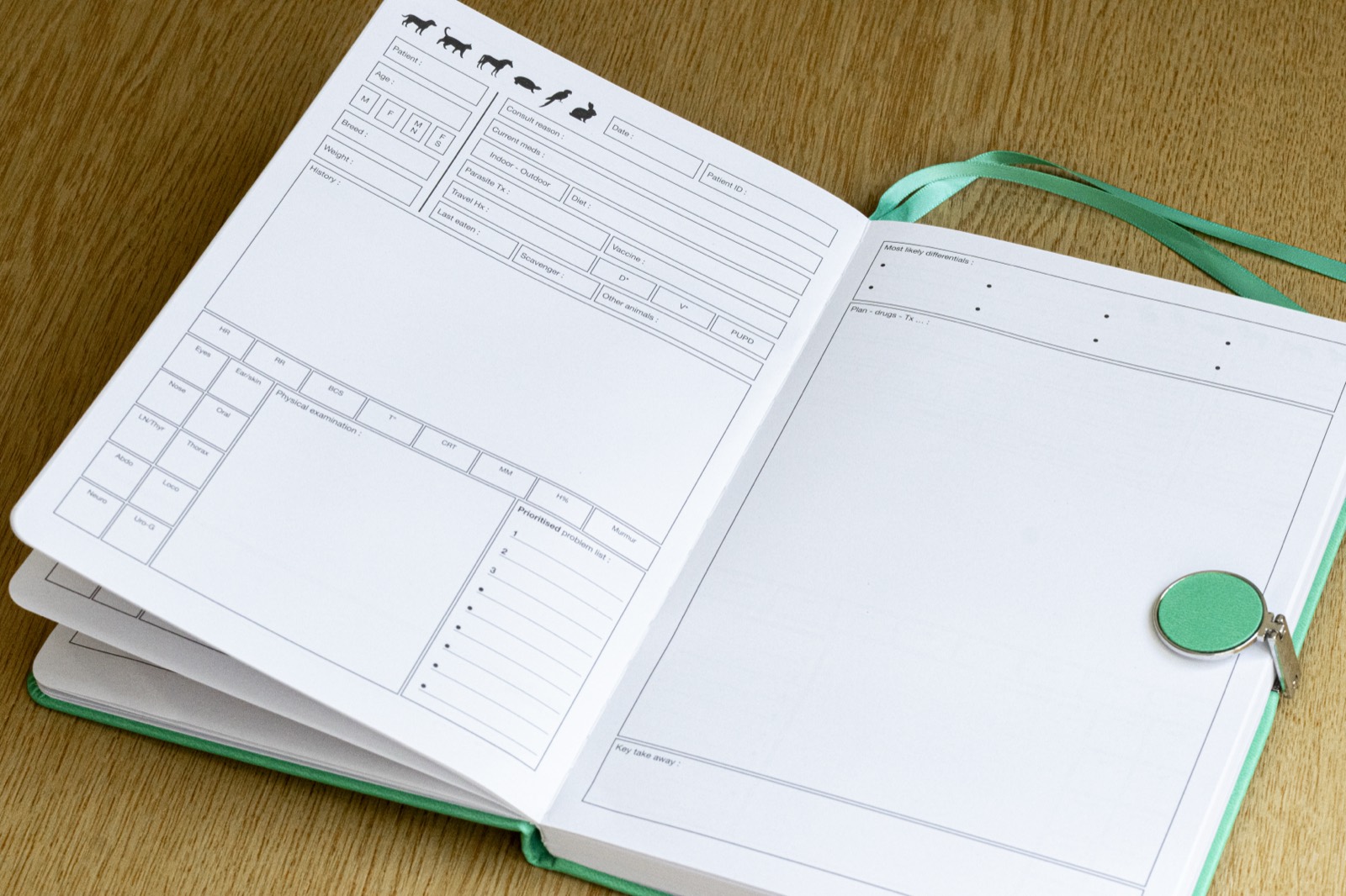 Pages 8–155: a double-page patient record with signalment, history, physical examination, prioritised problem list, differentials, plan and key take away.